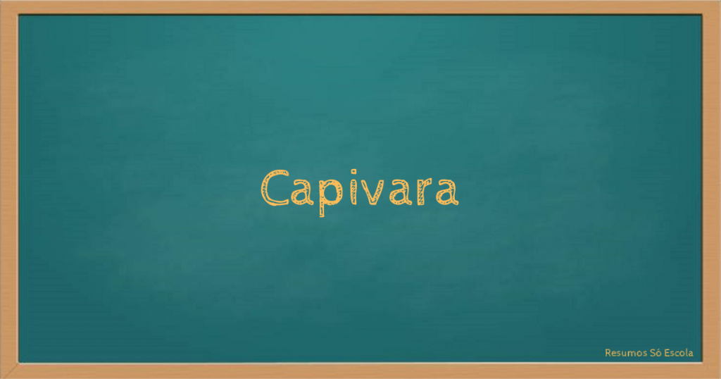 Capivara