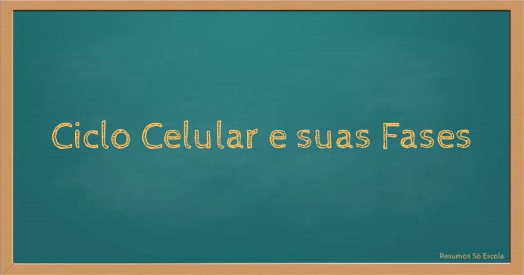 Ciclo Celular e suas Fases