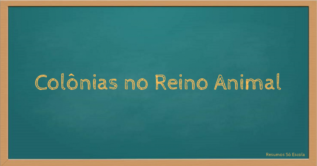 Colônias no Reino Animal