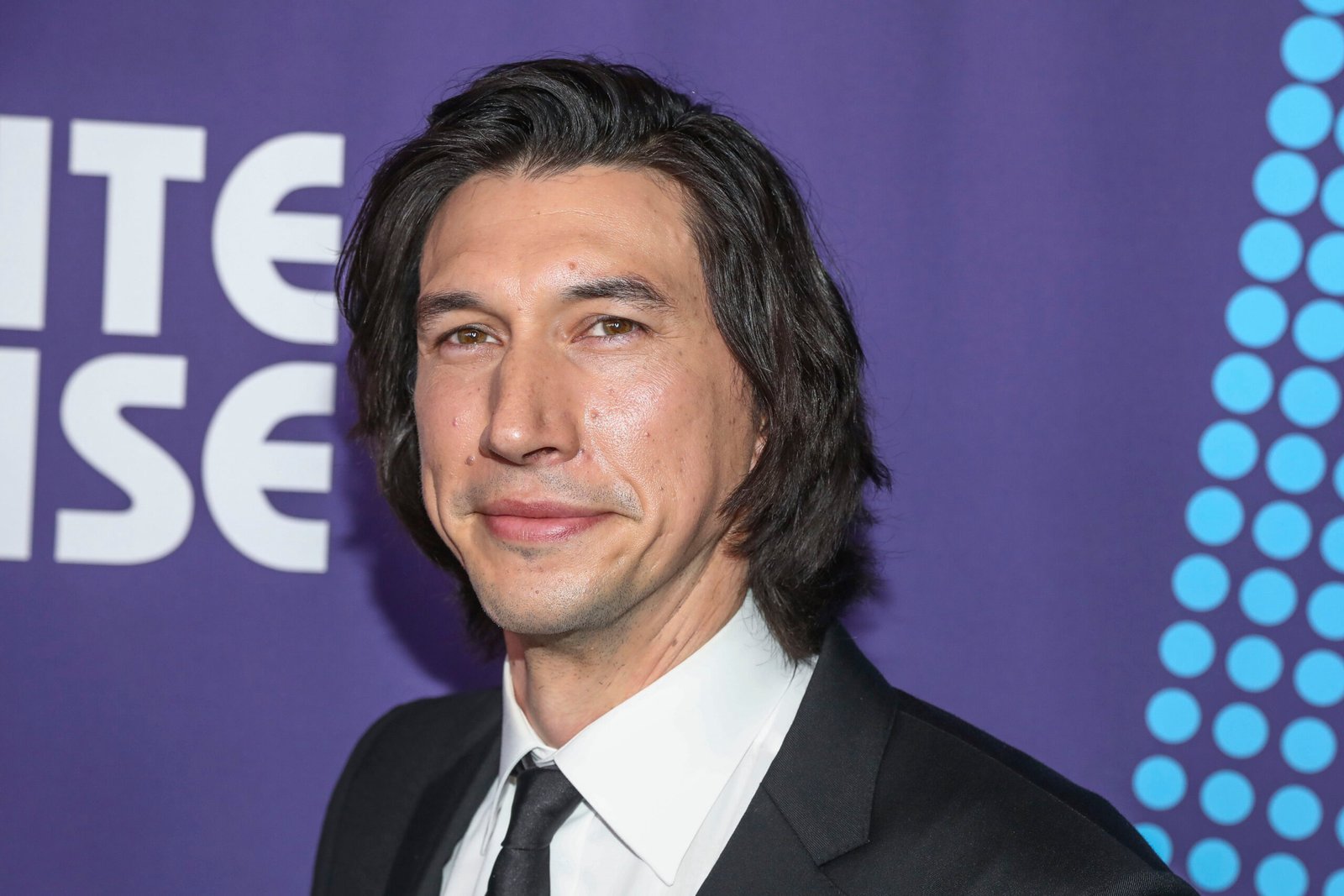 Biografia De Adam Driver Resumos S Escola
